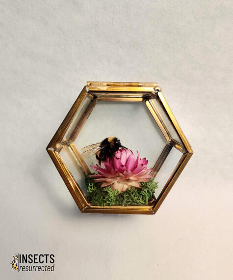 Golden box with bumblebee